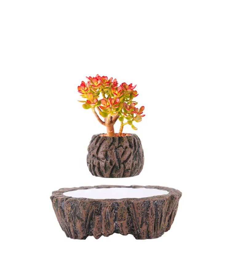 Modern Design Indoor/Outdoor Self-Watering Plant Pots for Garden Floor Square & round Cheap Custom Wholesale Set Plants Home Use