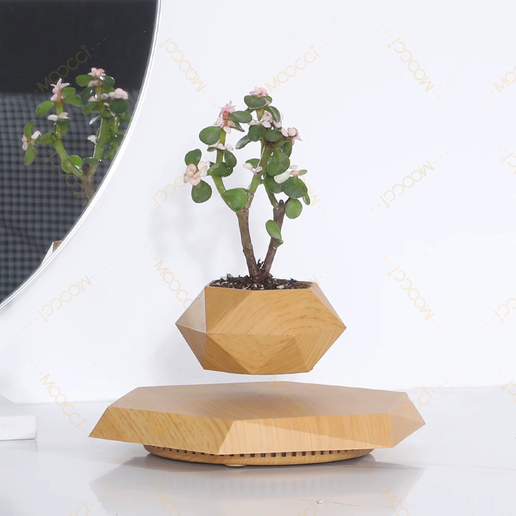 Modern Simple Indoor Decor Rotation Magnetic Levitation Floating Flower Pot Best Gift Lovers Wedding Anniversary Smart Planters