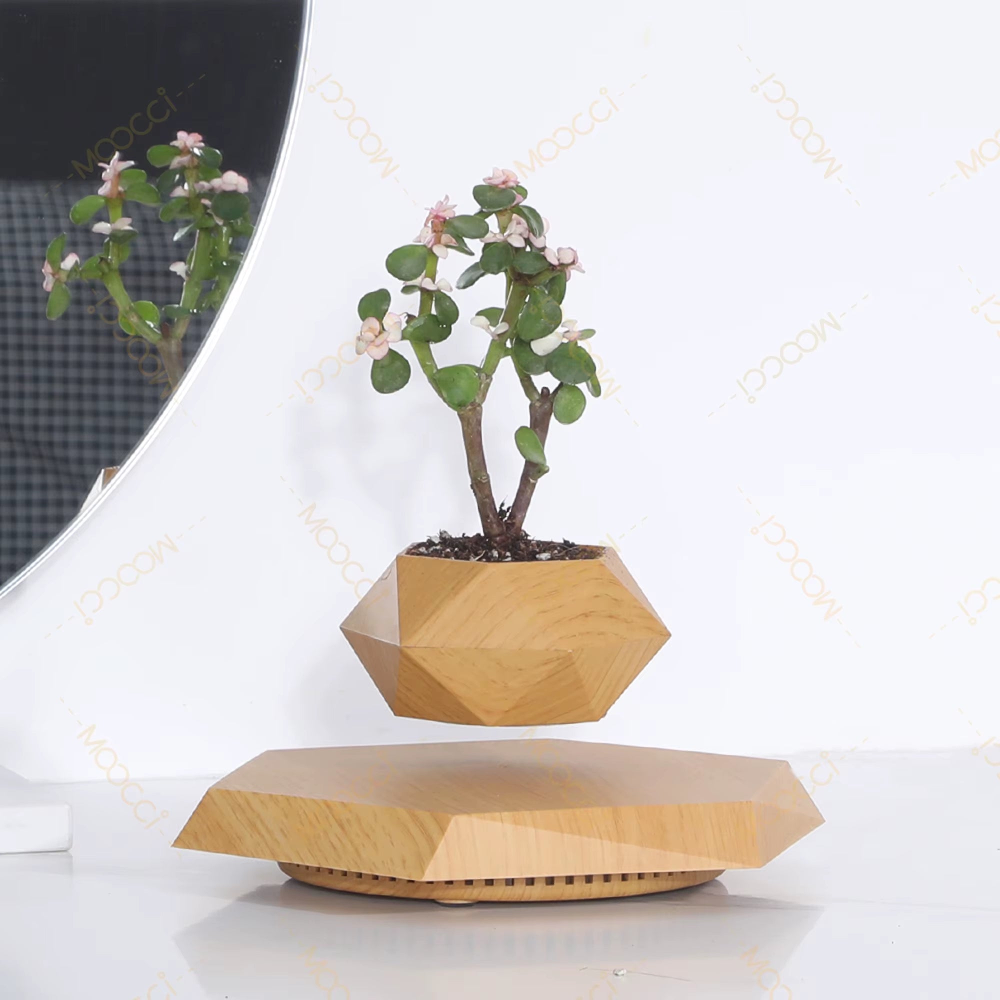 Modern Simple Indoor Decor Rotation Magnetic Levitation Floating Flower Pot Best Gift Lovers Wedding Anniversary Smart Planters