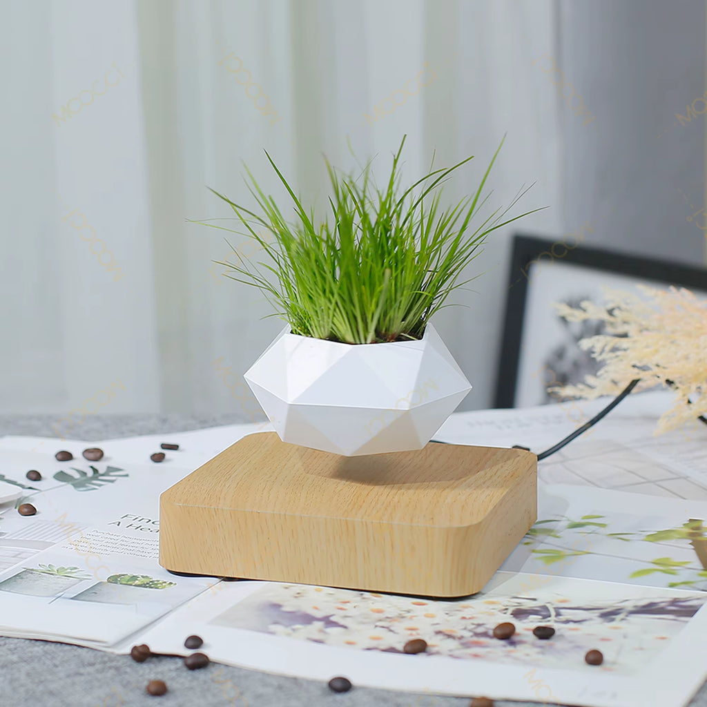 High-Class Commercial Creative Artificial Magnetic Levitation Bonsai Floating Indoor Home Office Decoration Air Plant Pot
