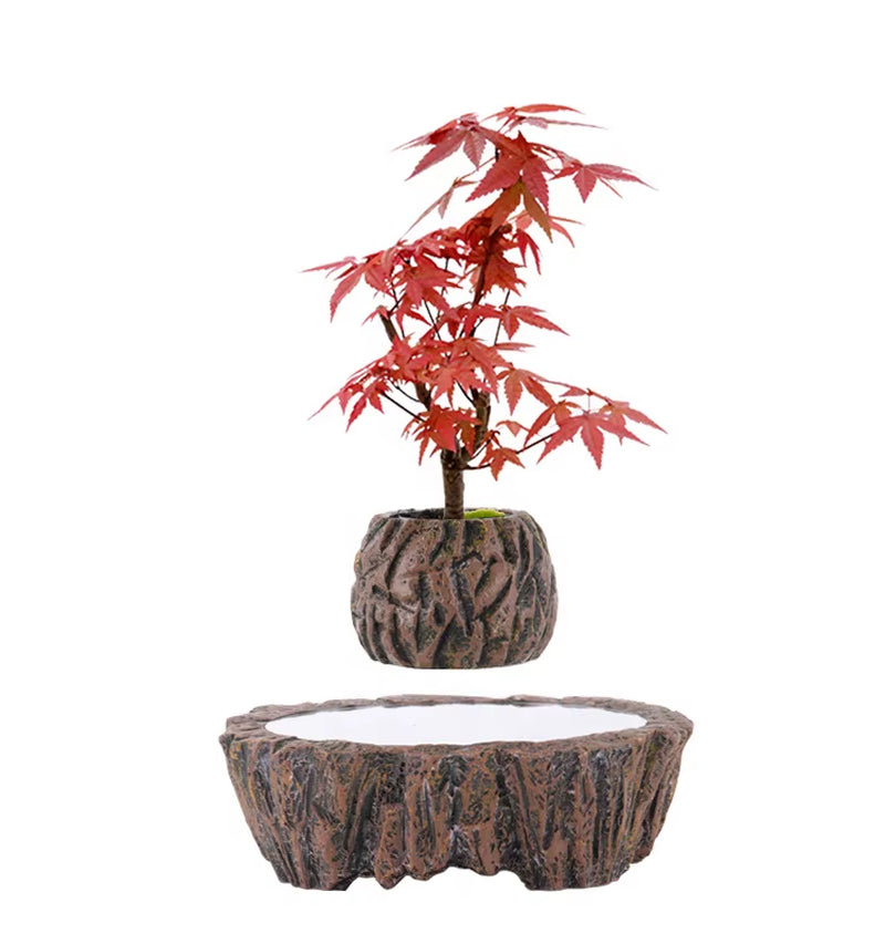 Modern Design Indoor/Outdoor Self-Watering Plant Pots for Garden Floor Square & round Cheap Custom Wholesale Set Plants Home Use