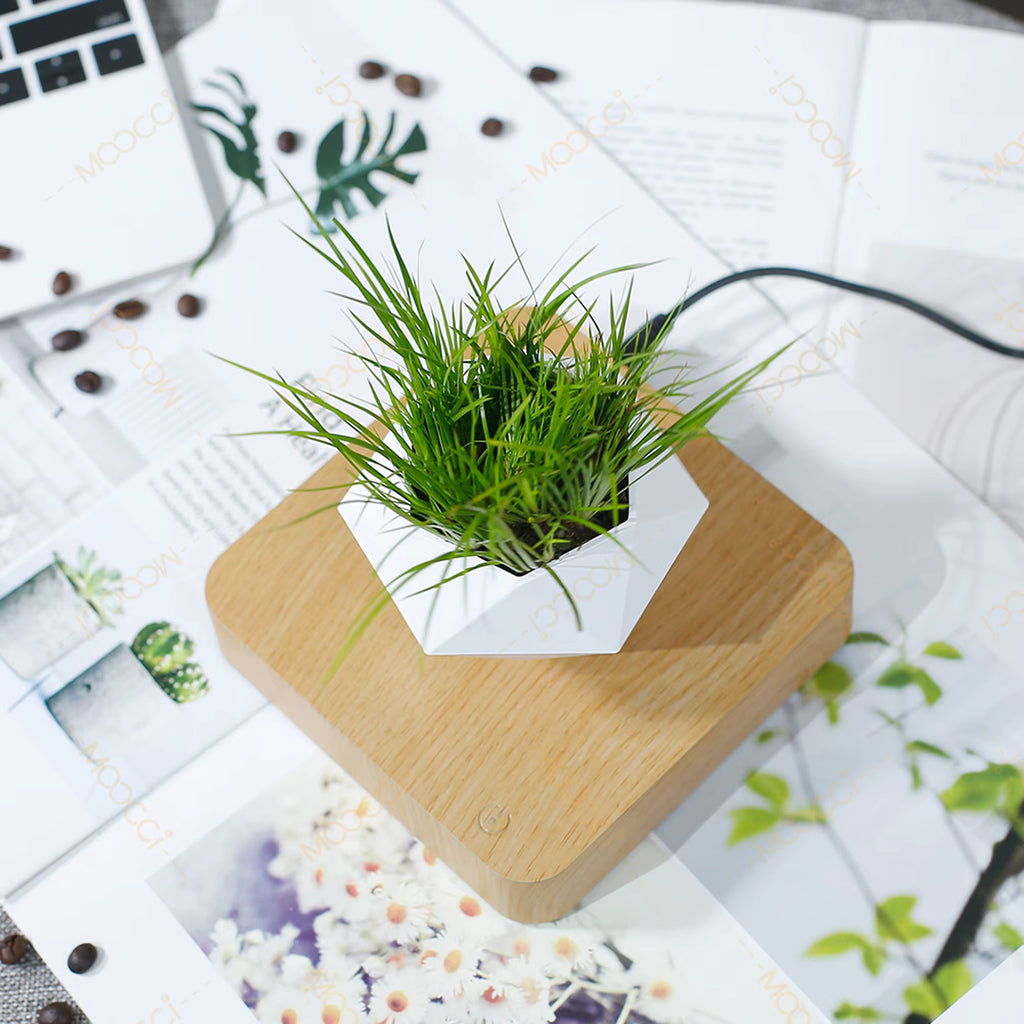 High-Class Commercial Creative Artificial Magnetic Levitation Bonsai Floating Indoor Home Office Decoration Air Plant Pot