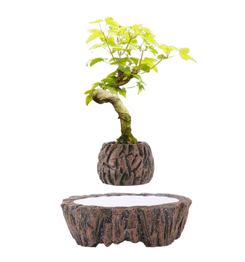 Modern Design Indoor/Outdoor Self-Watering Plant Pots for Garden Floor Square & round Cheap Custom Wholesale Set Plants Home Use