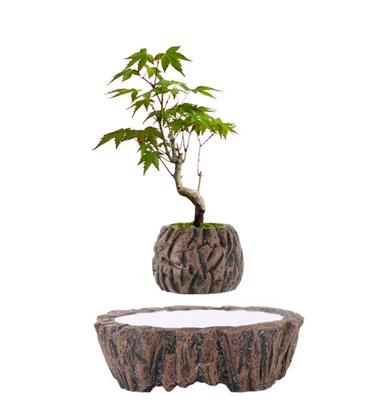 Modern Design Indoor/Outdoor Self-Watering Plant Pots for Garden Floor Square & round Cheap Custom Wholesale Set Plants Home Use