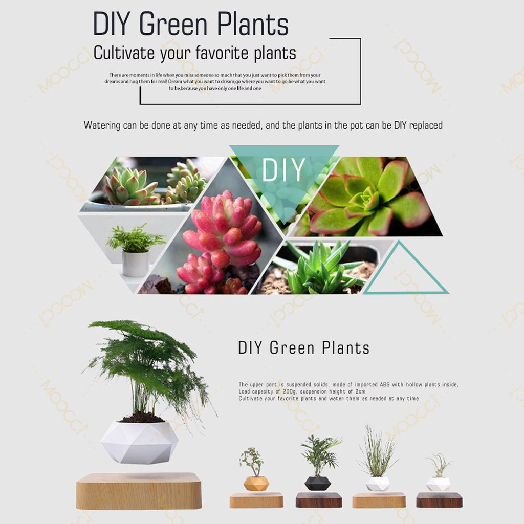 High-Class Commercial Creative Artificial Magnetic Levitation Bonsai Floating Indoor Home Office Decoration Air Plant Pot